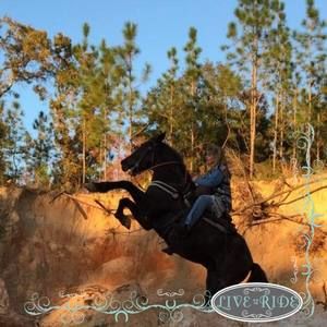 Meet your Posher, Angel